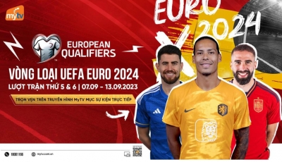 Top các kênh xem trực tiếp Euro 2024 chuyên nghiệp bạn nên thử